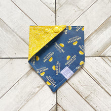 Load image into Gallery viewer, Cheese Tax Pet Bandana

