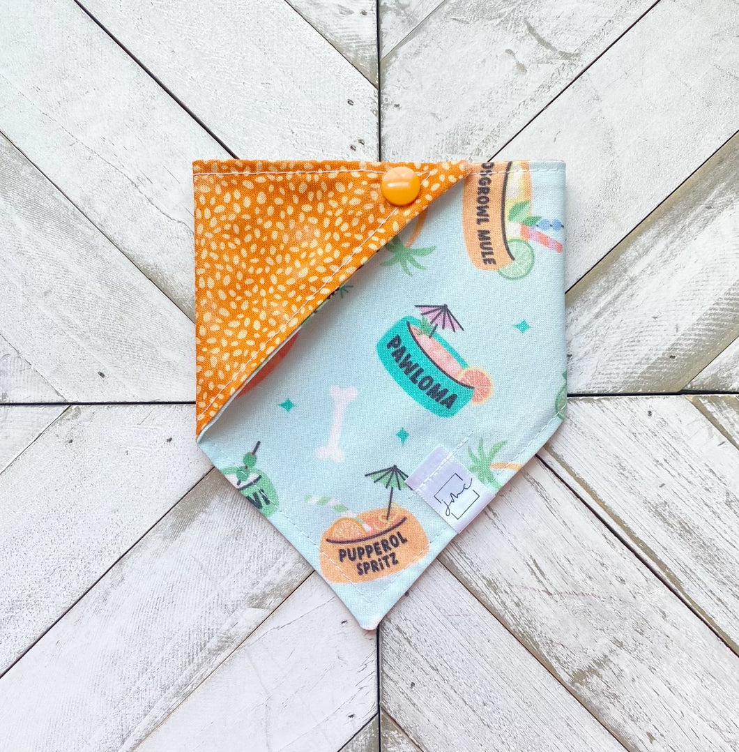 Pawloma Pet Bandana