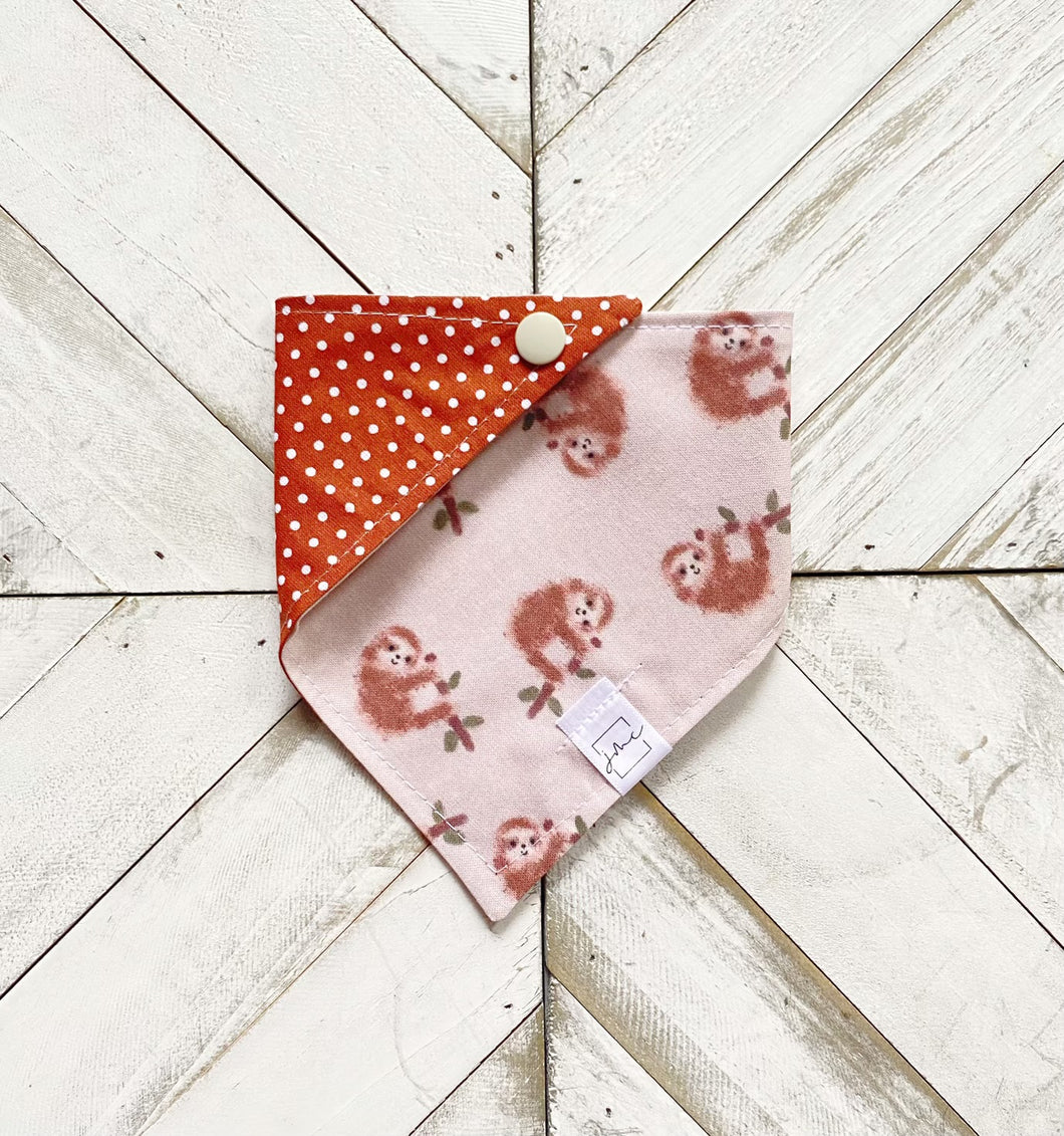 Hanging Around Pet Bandana