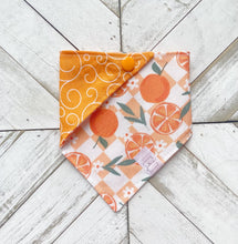 Load image into Gallery viewer, Summer Citrus Pet Bandana
