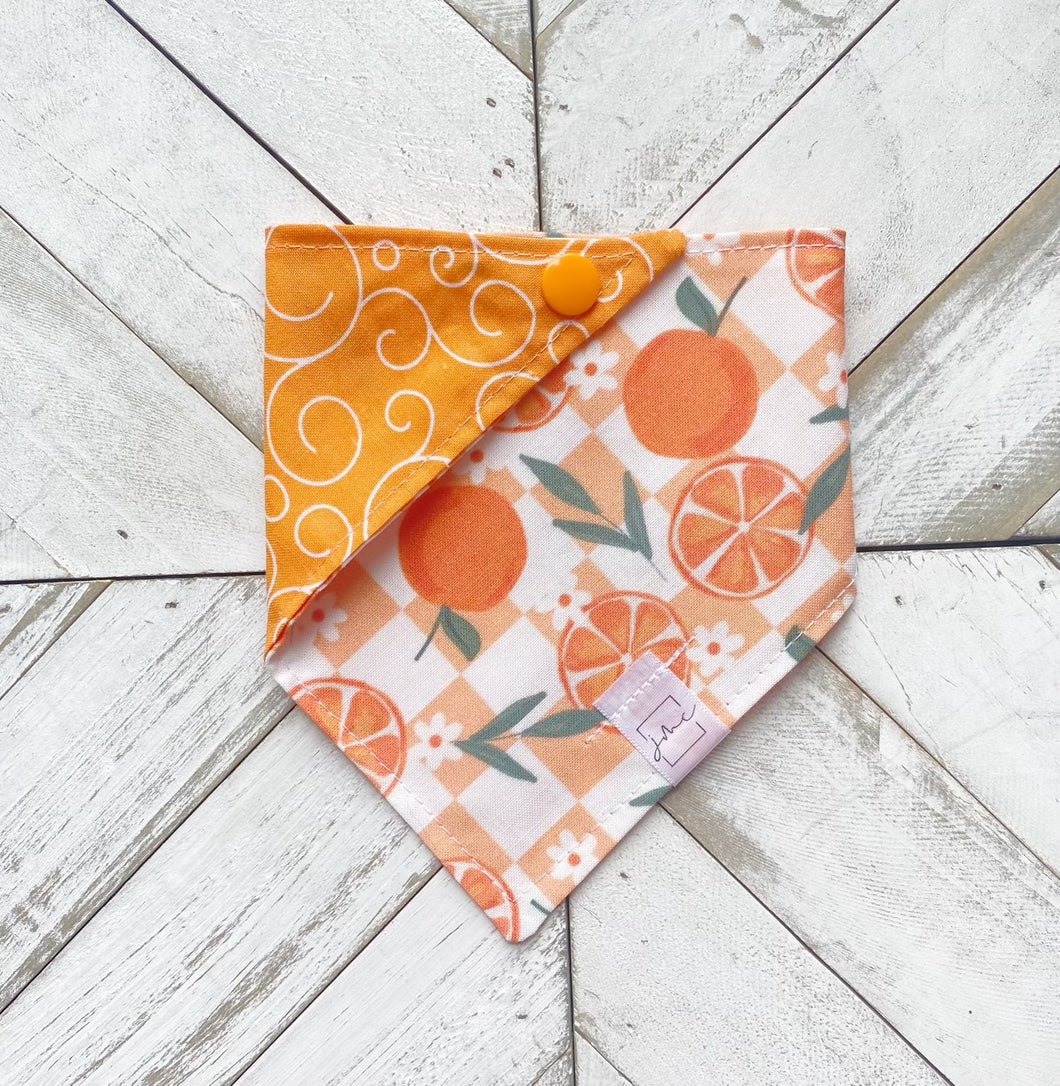 Summer Citrus Pet Bandana