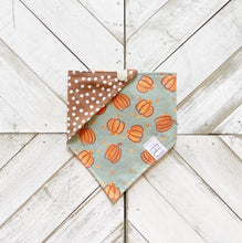 Load image into Gallery viewer, Pumpkin Pickin’ Pet Bandana
