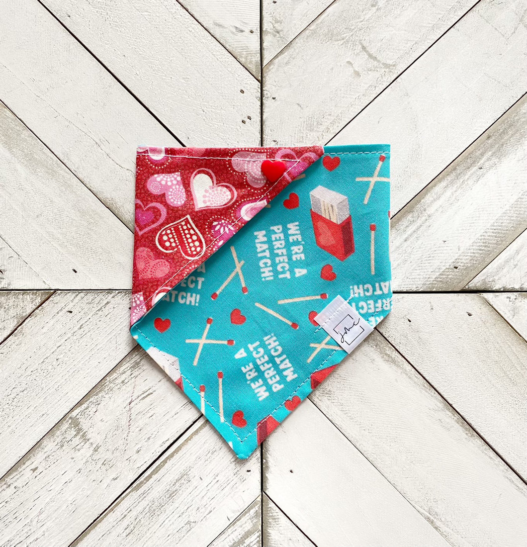 Perfect Match Pet Bandana