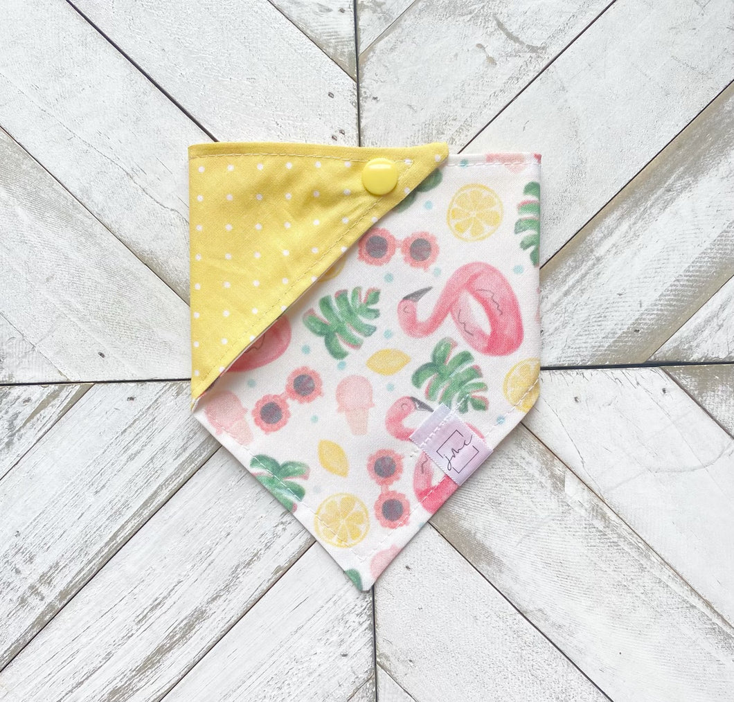 Summer Bliss Pet Bandana