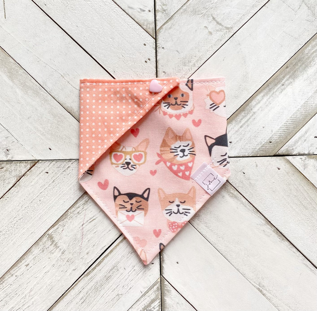 Smitten Kittens Pet Bandana