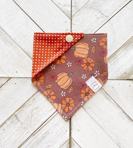 Fall Gourds Pet Bandana