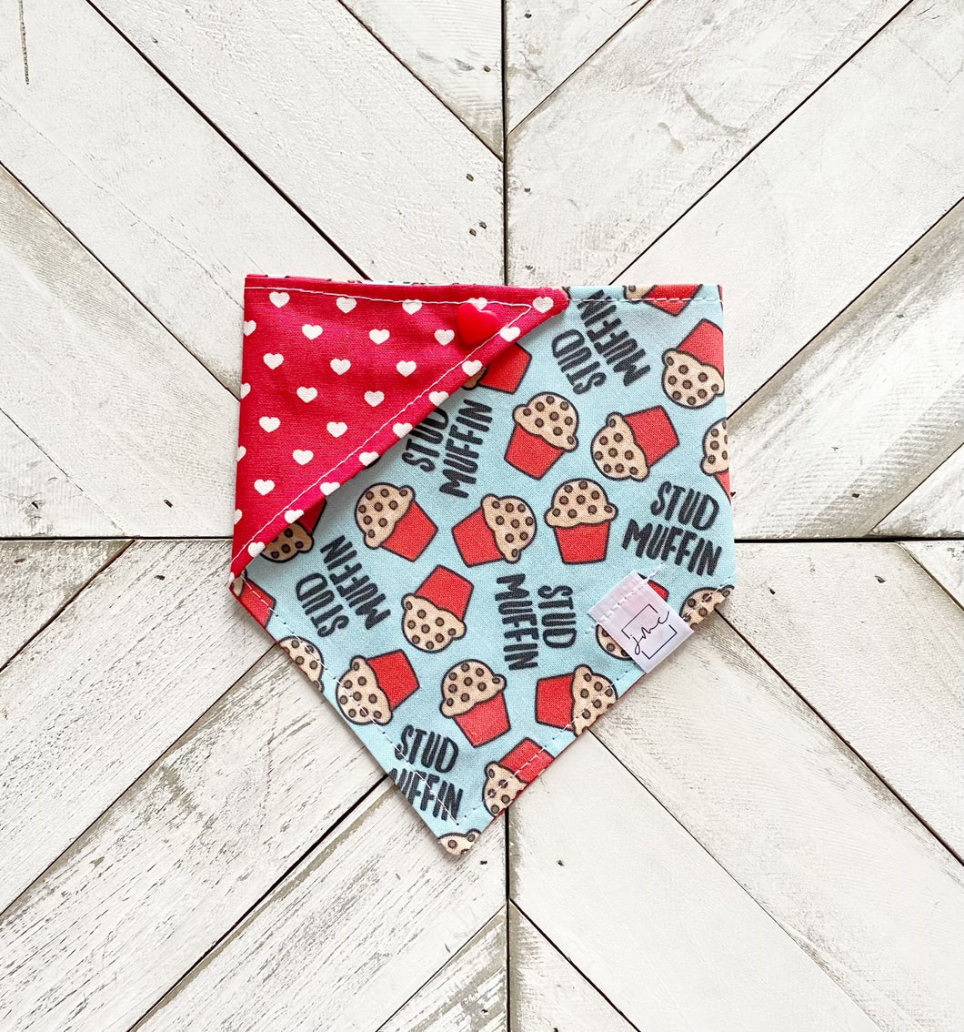 Stud Muffin (V2) Pet Bandana