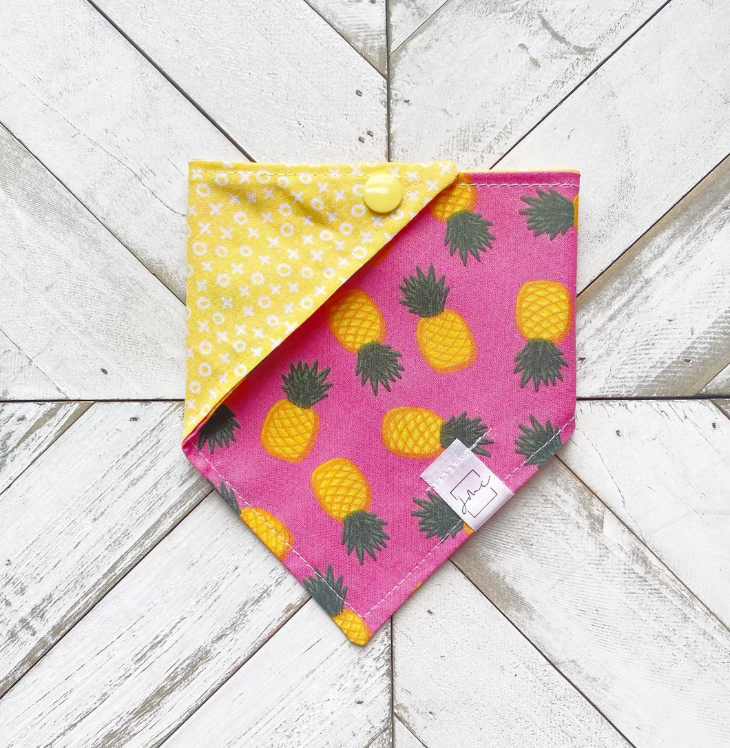 Pineapple Paradise Pet Bandana
