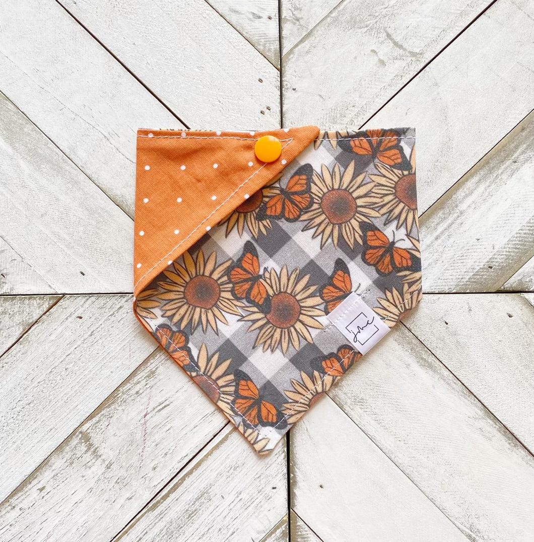Autumn Fields Pet Bandana