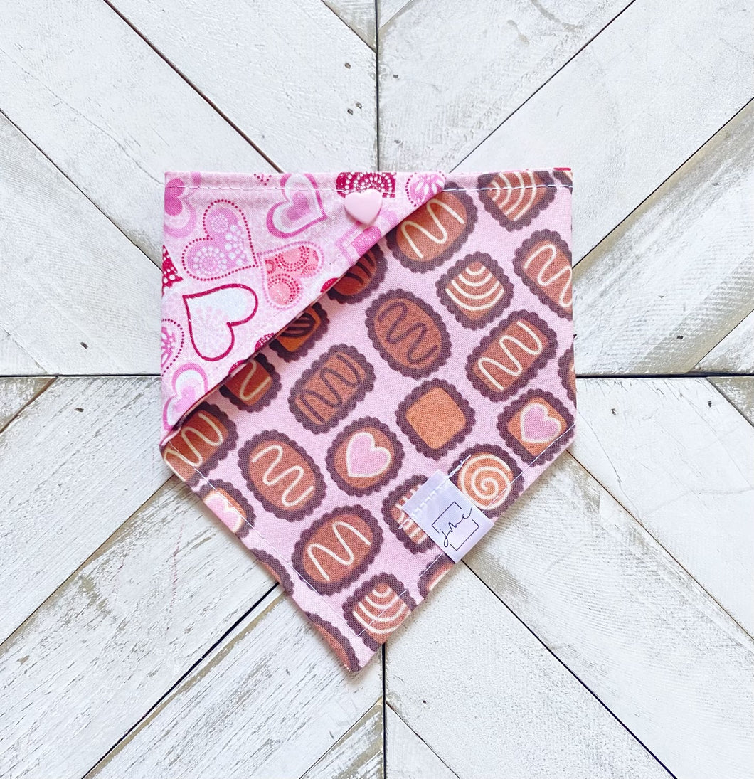 Box of Chocolates Pet Bandana