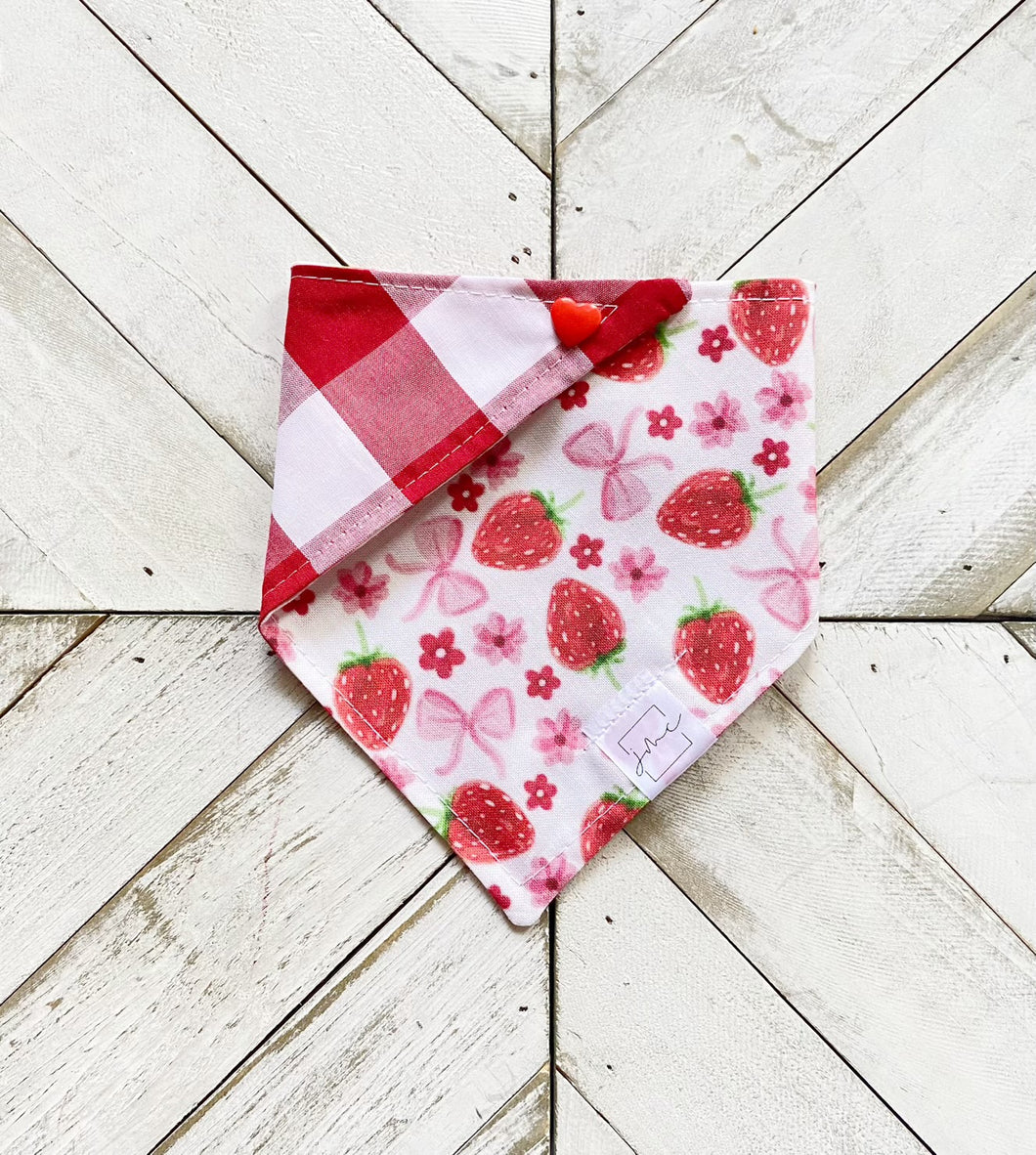 Berry Cutie Pet Bandana