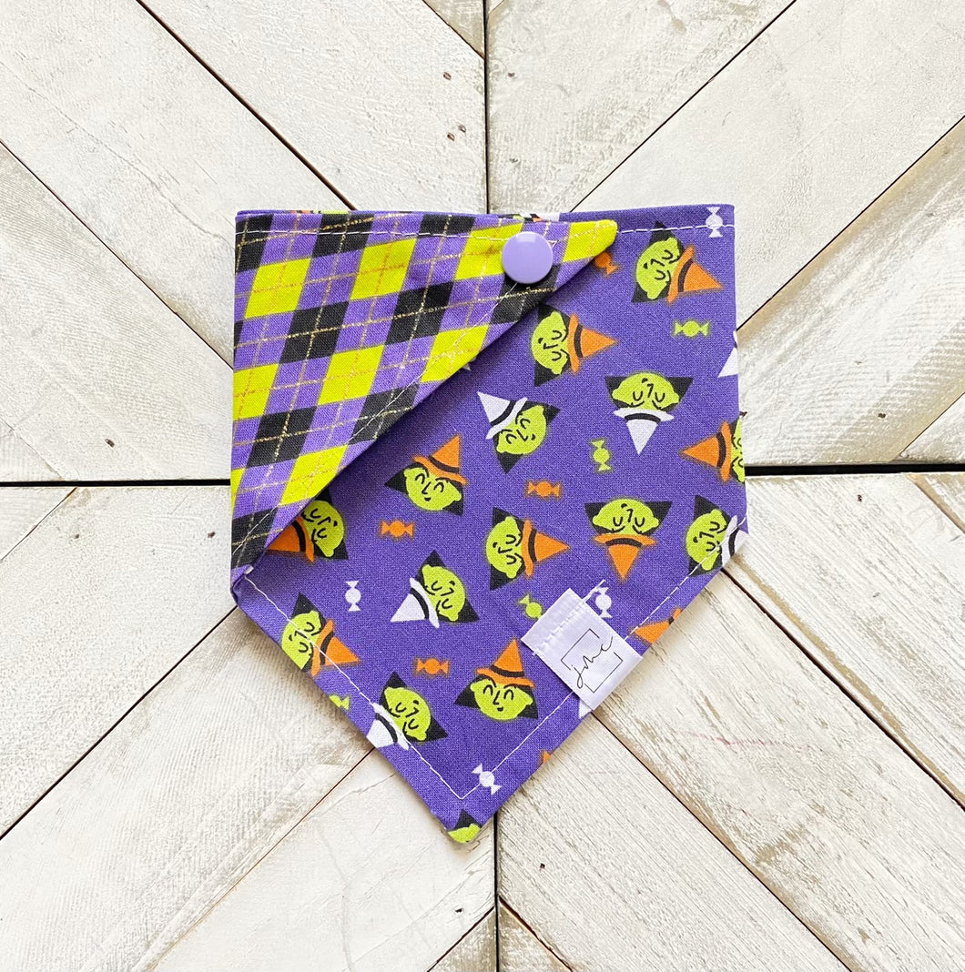 Witchy Business Pet Bandana