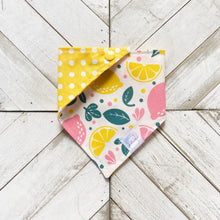 Load image into Gallery viewer, Squeeze The Day Pet Bandana
