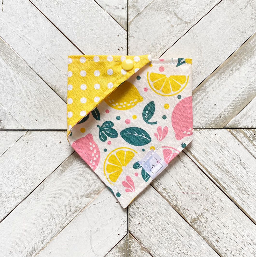 Squeeze The Day Pet Bandana