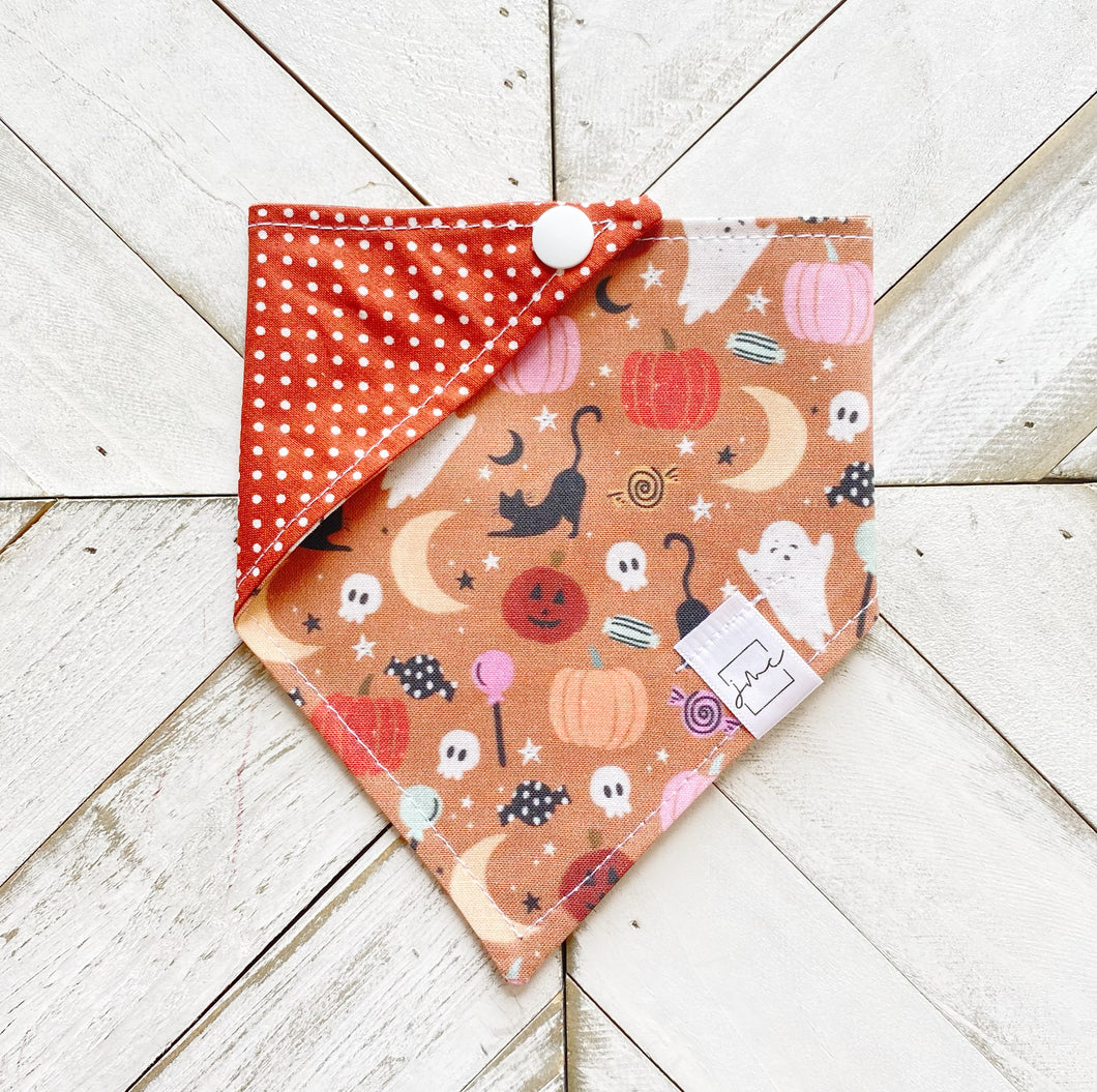 Witchy Vibes Pet Bandana