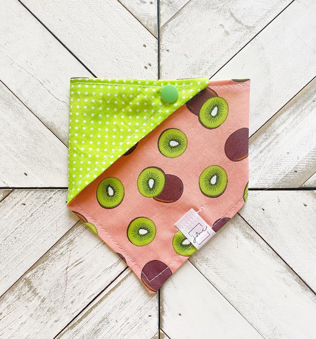 Kiwi Crazy Pet Bandana