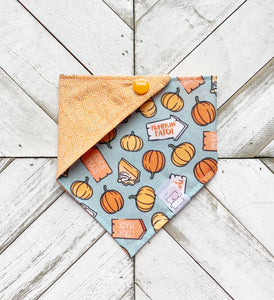 Pumpkin Field Pet Bandana