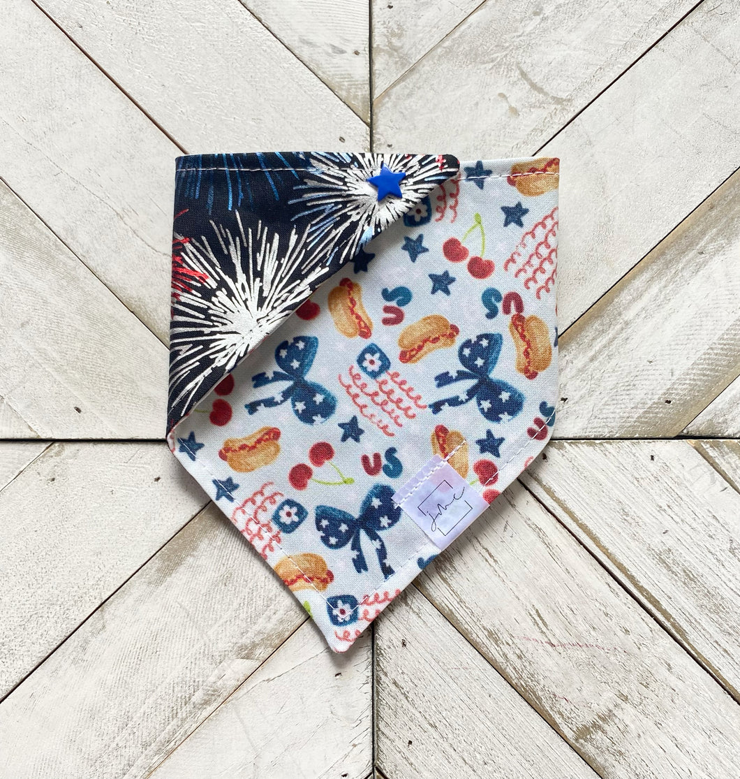 BBQ Blast Pet Bandana
