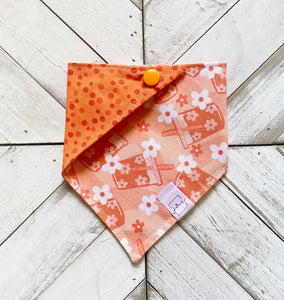 Pumpkin Latte Pet Bandana
