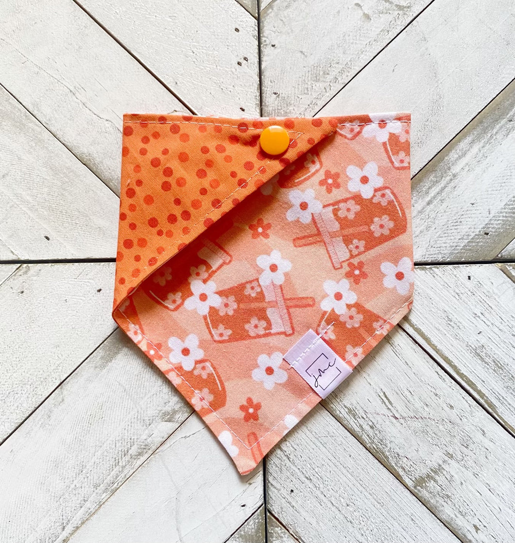 Pumpkin Latte Pet Bandana
