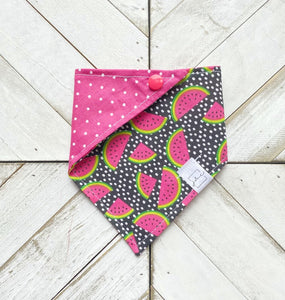 Watermelon Sugar Pet Bandana