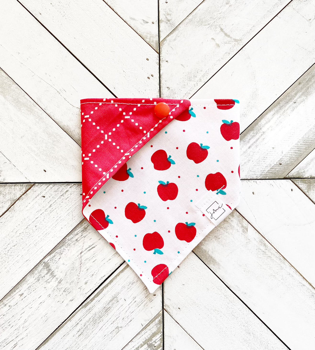 Apple A Day Pet Bandana