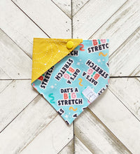 Load image into Gallery viewer, Dat’s A Big Stretch Pet Bandana
