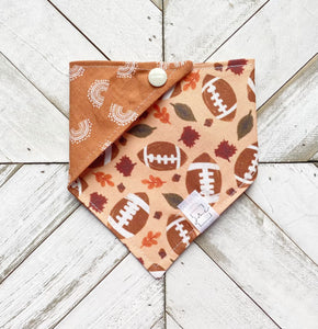 Football Fun Pet Bandana