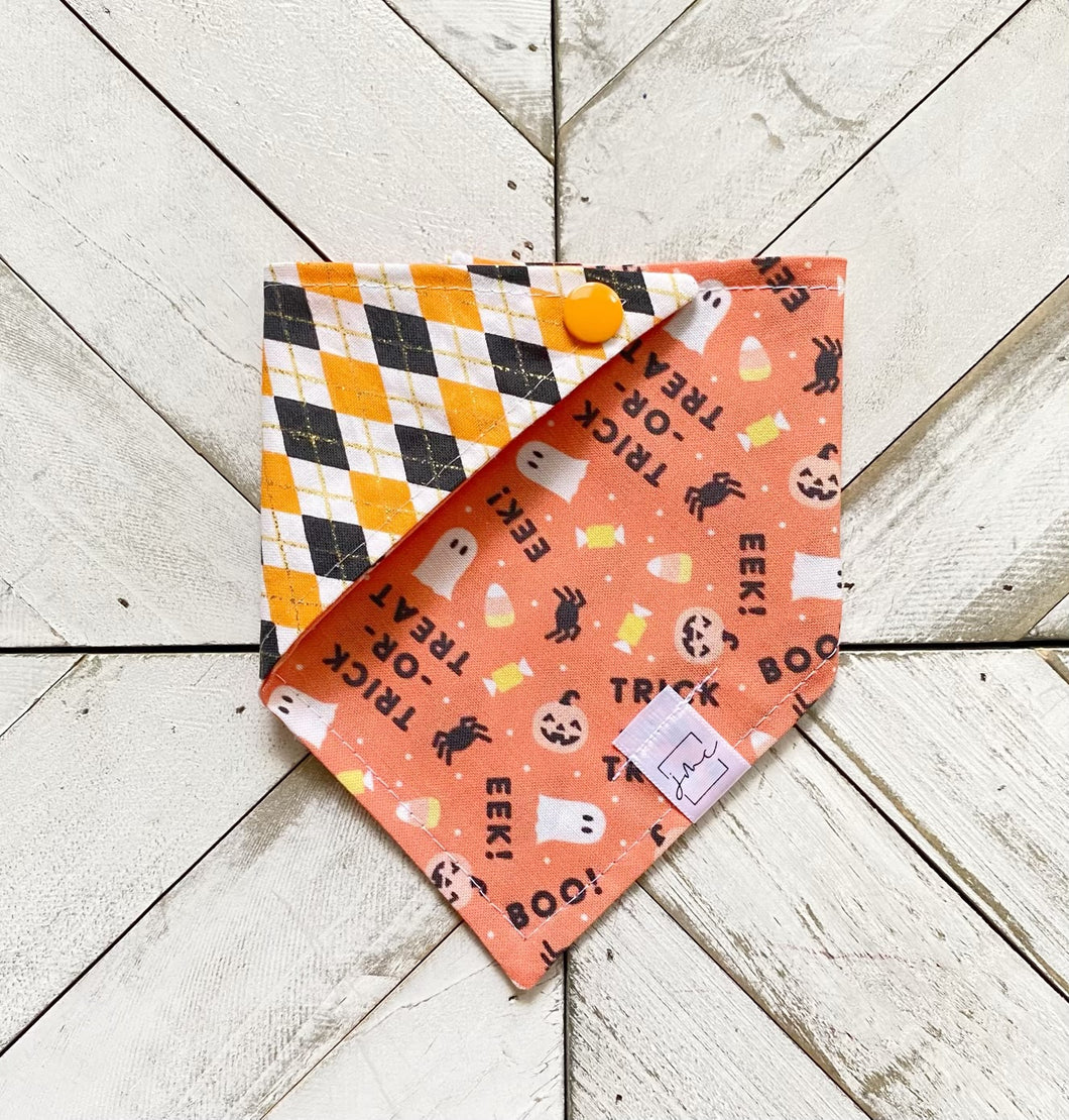 Halloween Night Pet Bandana