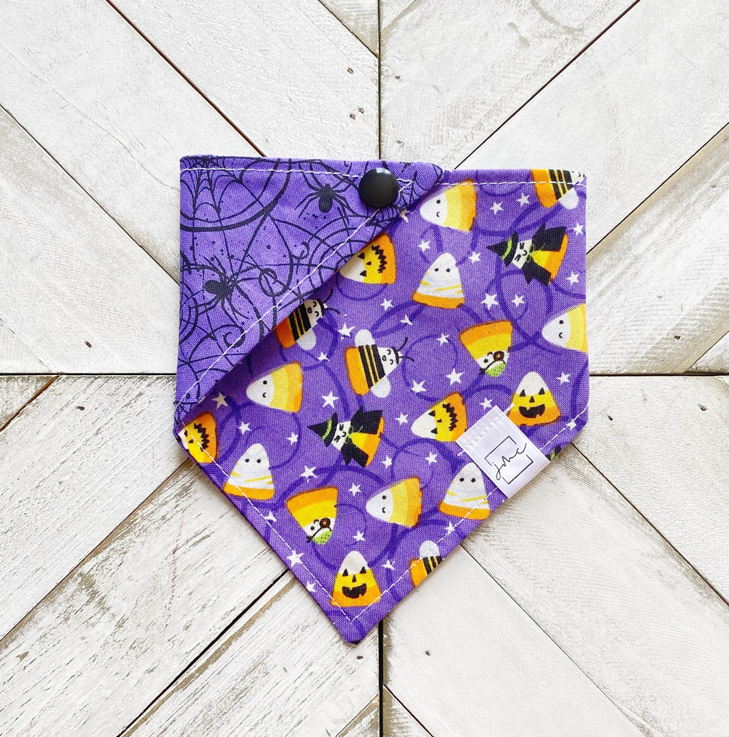 Feeling Corny Pet Bandana