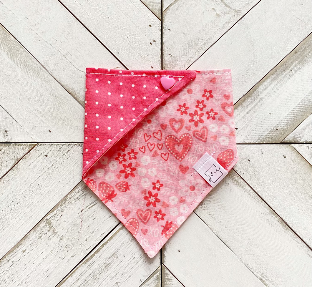 X’s And O’s Pet Bandana