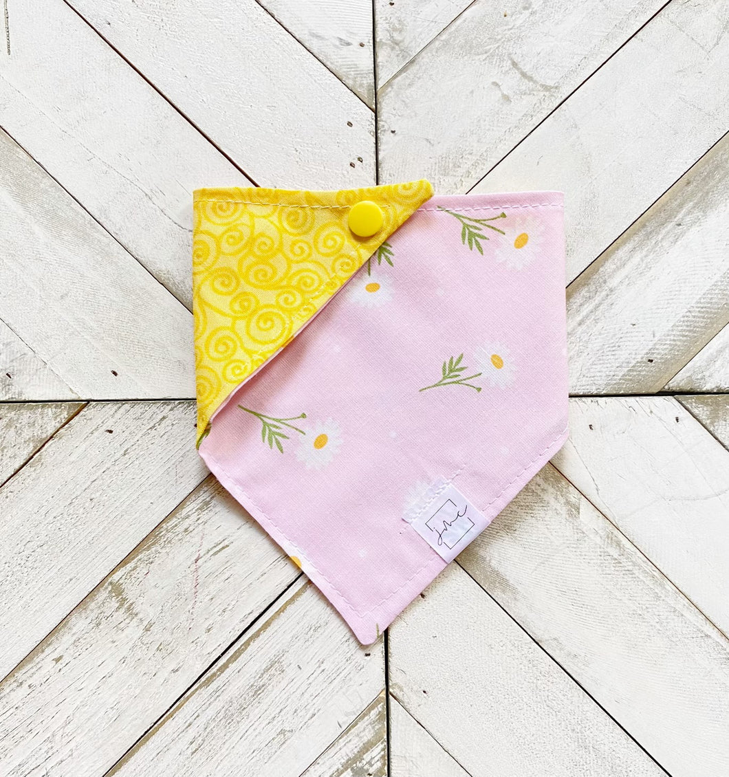 Dainty Daisy Pet Bandana