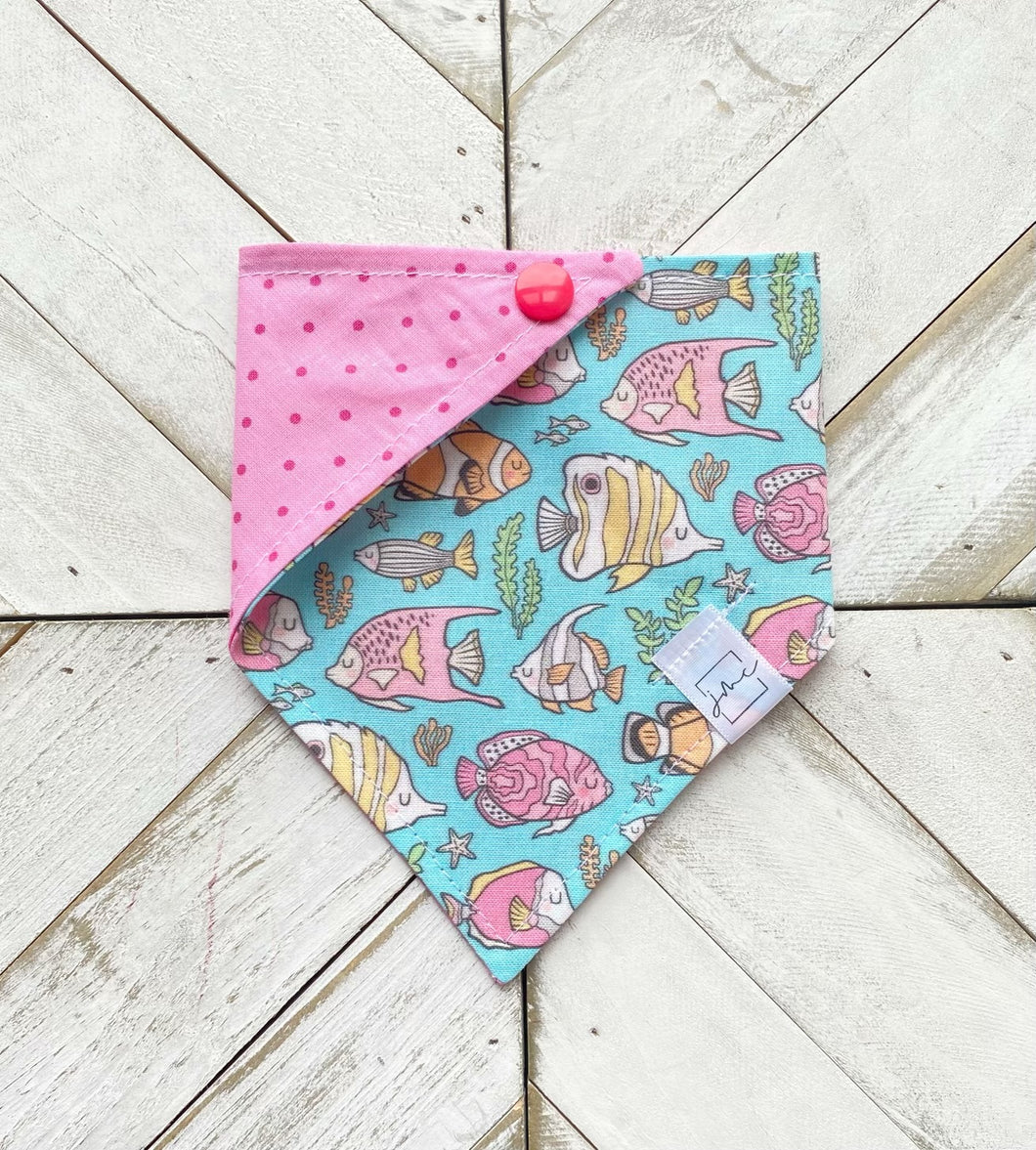 Fish Frenzy Pet Bandana