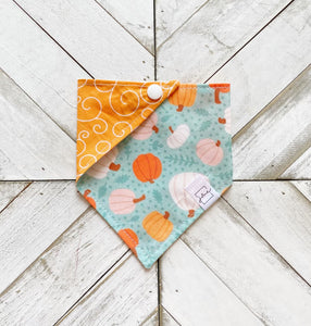 Pumpkin Fest Pet Bandana