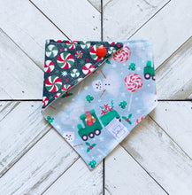 Load image into Gallery viewer, Polar Express Pet Bandana
