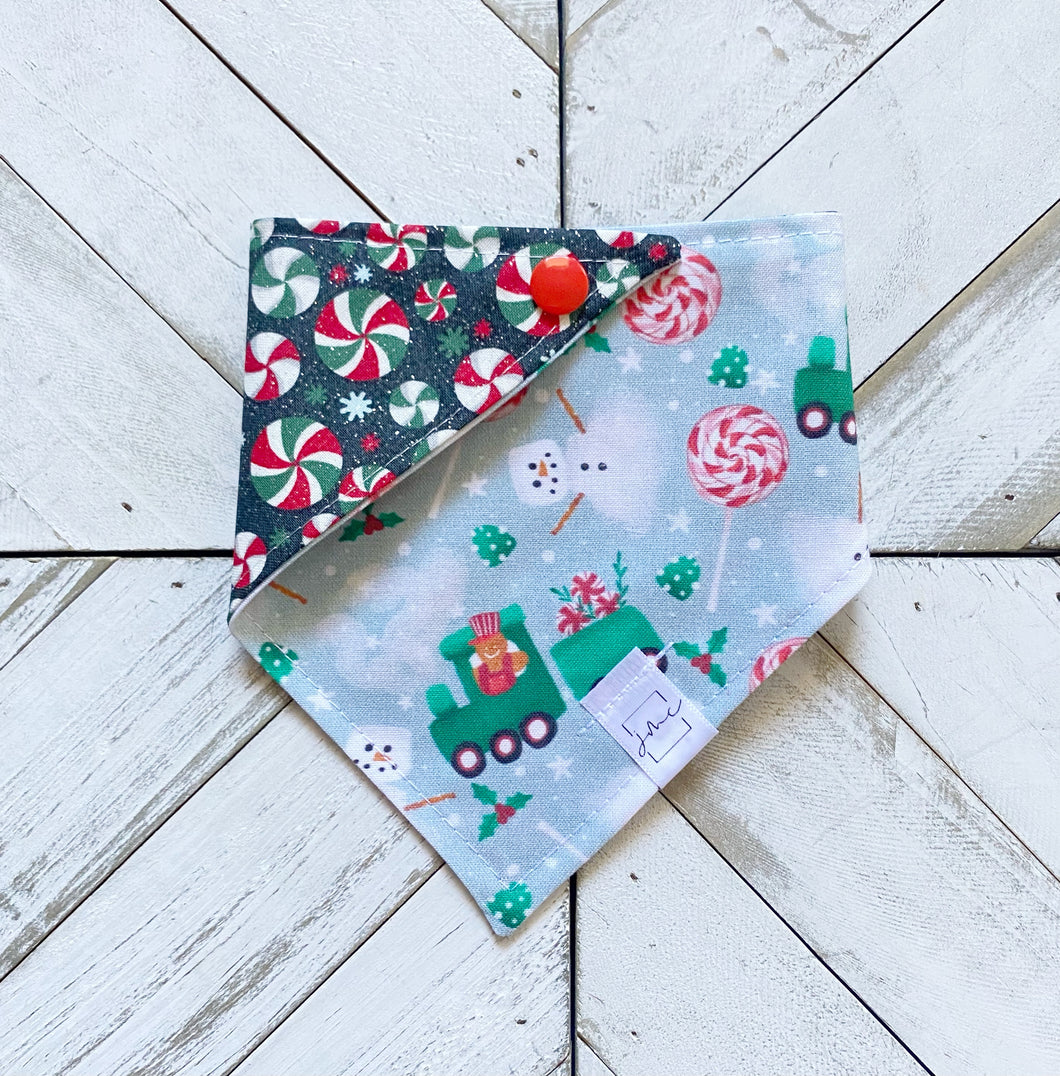Polar Express Pet Bandana