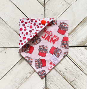 That’s My Jam Pet Bandana