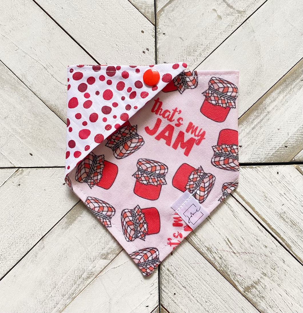 That’s My Jam Pet Bandana