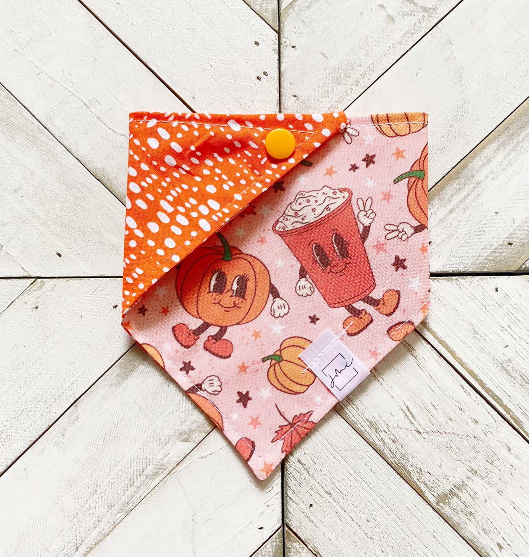 Mrs. Pumpkin & Mr. Spice Pet Bandana
