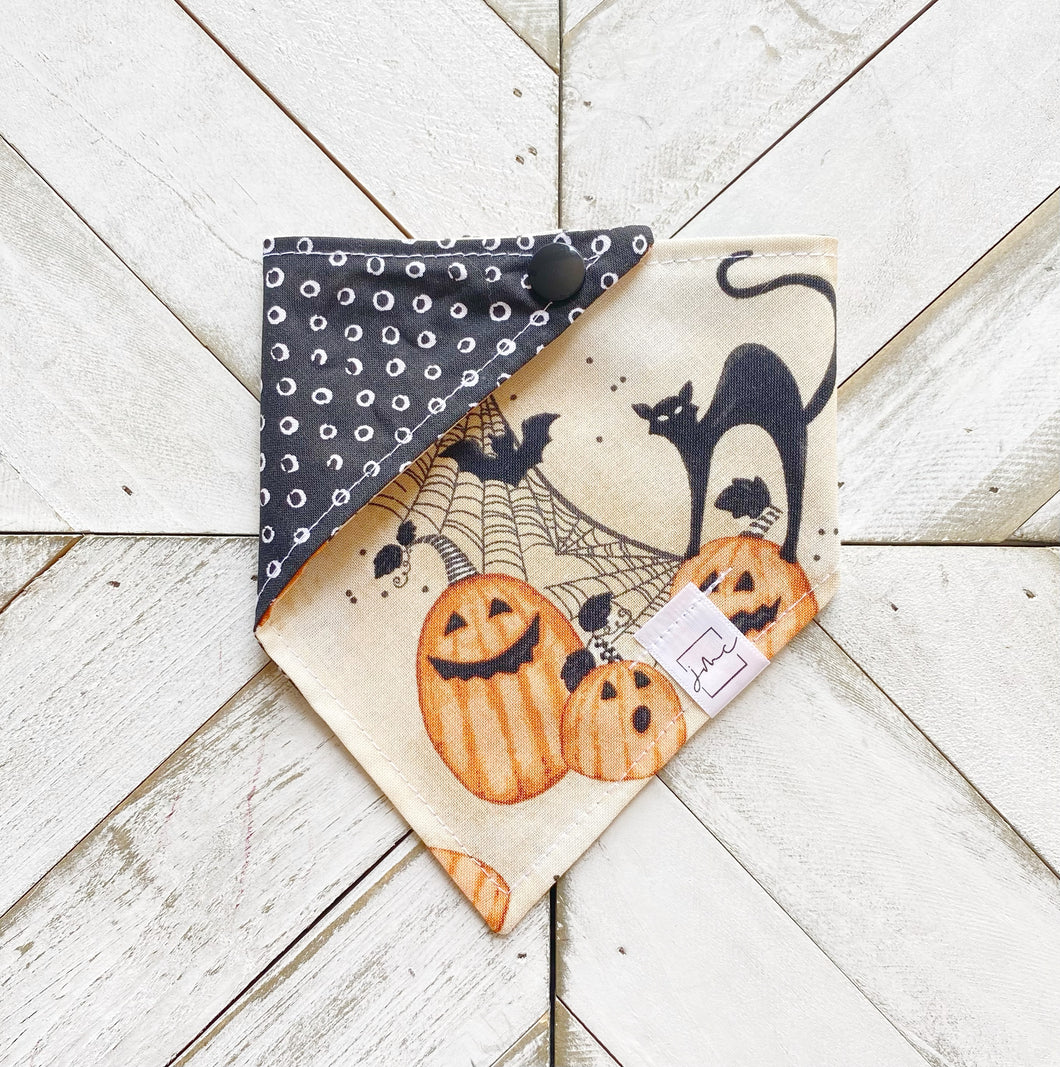 Halloween Season Pet Bandana