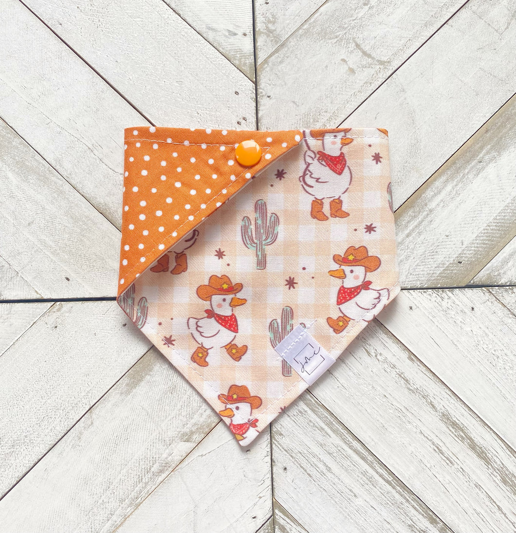 Rodeo Ducks Pet Bandana