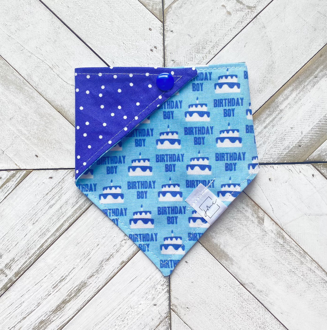 Birthday Boy Pet Bandana