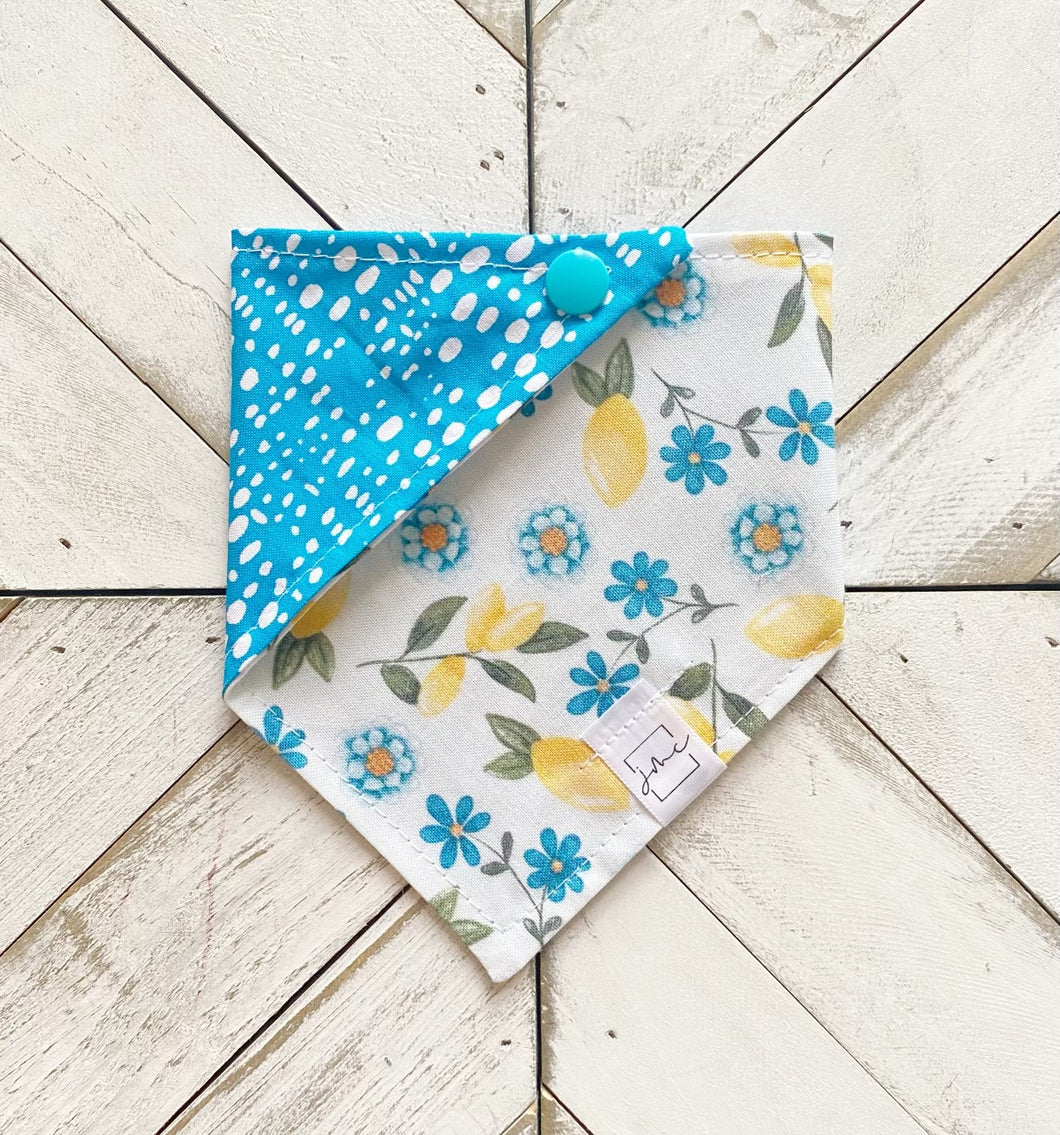 Citrus Bloom Pet Bandana