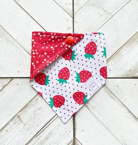 Strawberry Field Pet Bandana