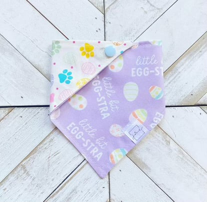 Little Bit Egg-stra Pet Bandana