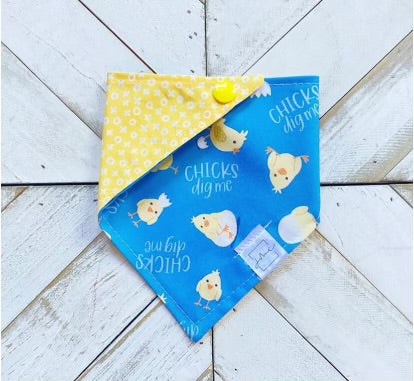 Chicks Dig Me Pet Bandana