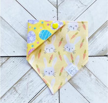 Load image into Gallery viewer, Hoppy Days Pet Bandana
