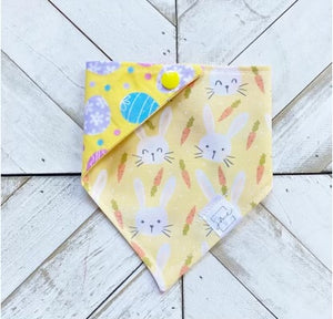 Hoppy Days Pet Bandana