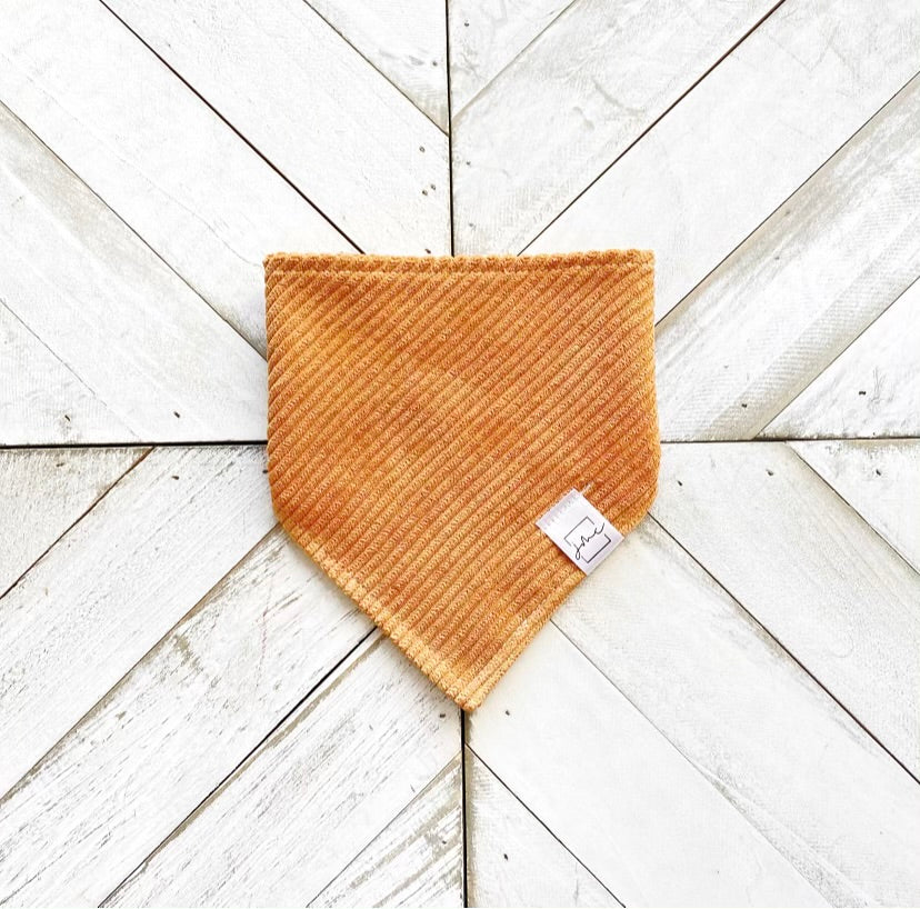 Cozy Corduroy Pet Bandana