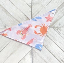 Load image into Gallery viewer, Coral Crush Pet Bandana
